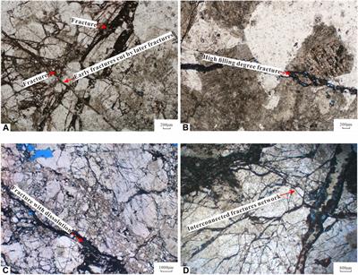 Characteristics and controlling factors of tectonic fractures within the buried hill reservoirs from the Archaean metamorphic basement: a case study in the Bozhong 19–6 condensate gas field, Bohai Bay Basin